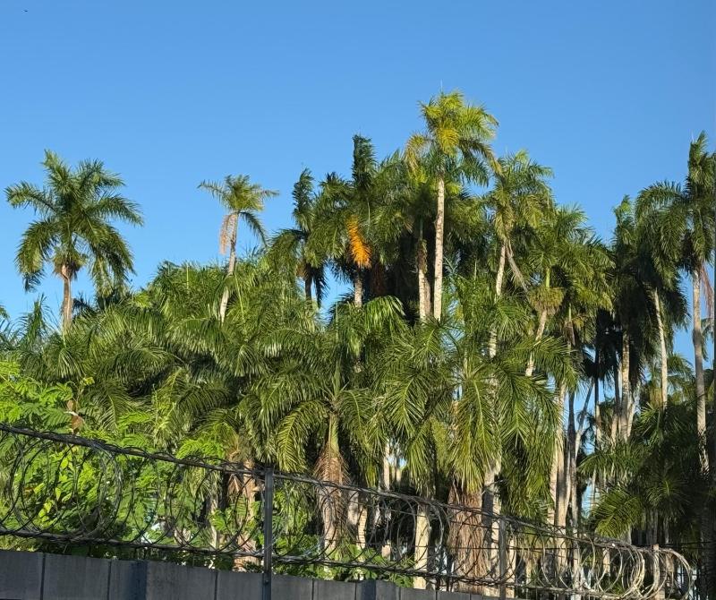 Vakantiehuis met privé zwembad in hartje Paramaribo - image 11