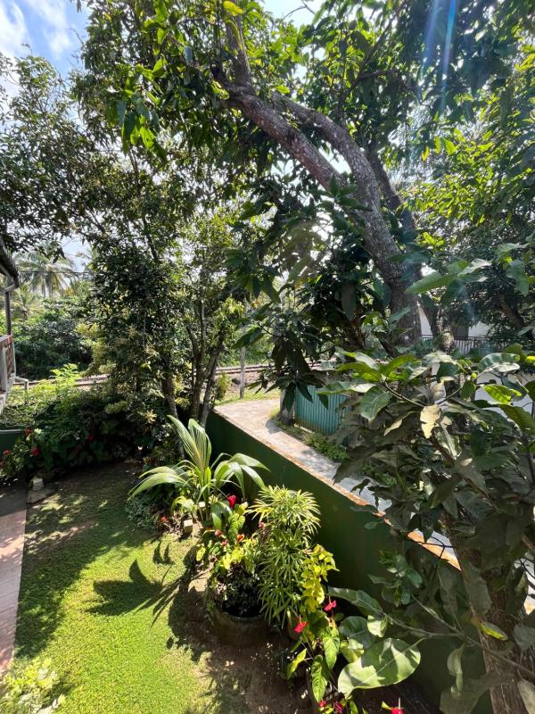 Zandeepa Homestay - image 6