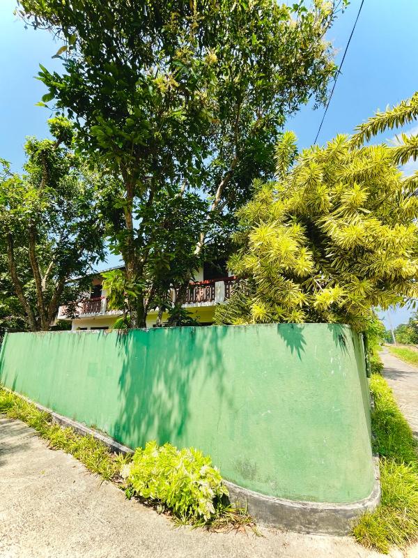 Zandeepa Homestay - image 2