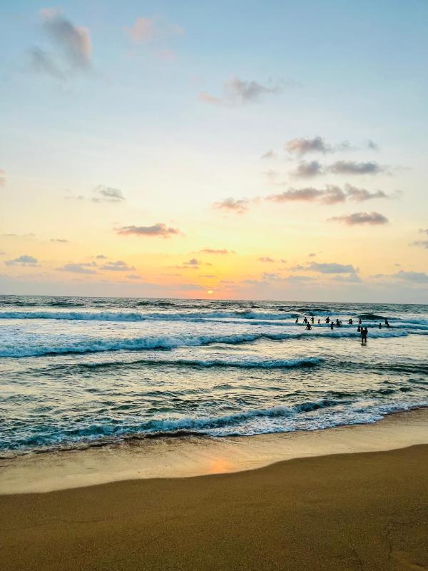 Zandeepa Homestay - image 17