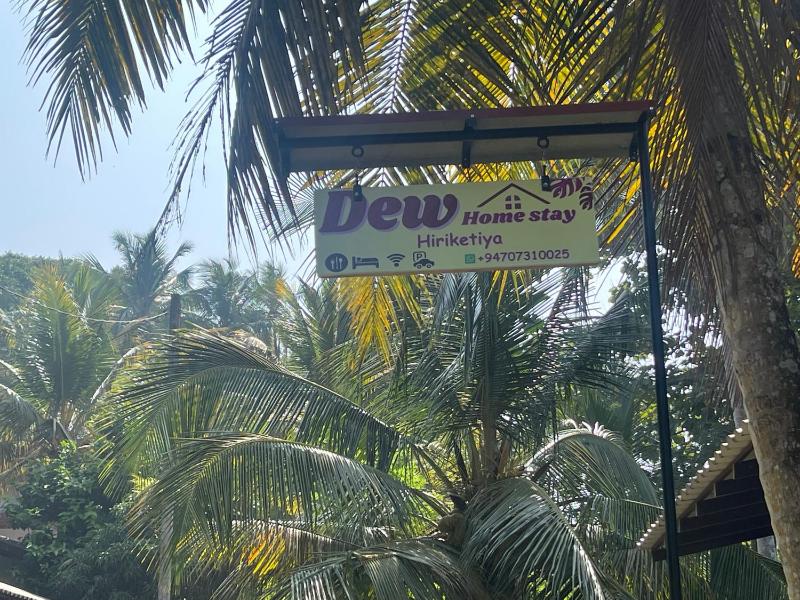 Dew home stay - image 7