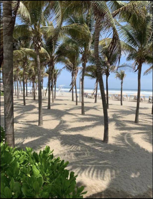 MF-3-Acapulco Mexico Beach front 3bedroom - image 33