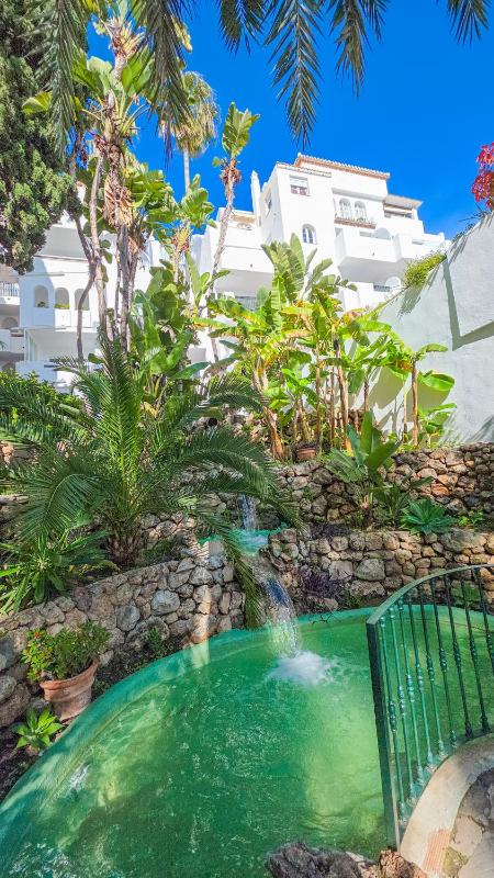 Pueblo Quinta Apartments Beach Pool and Terrace - image 4