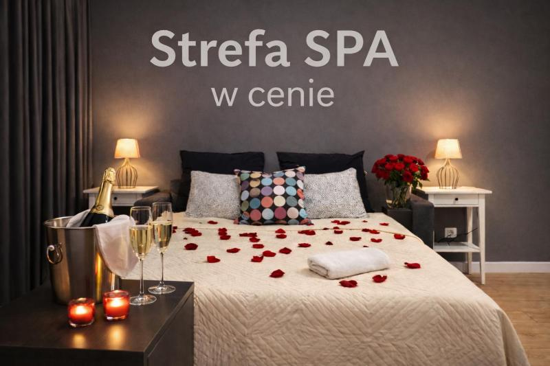 Nice Studio by the River Walonska 15 SPA - GYM - SAUNA - JACUZZI - image 4