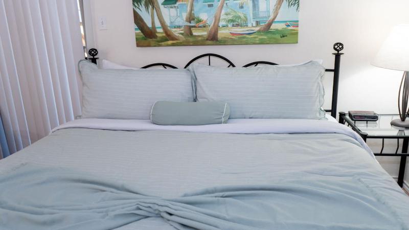 Renovated 1st Floor Beach 250ft Pool apts - image 42