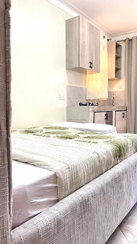 Matone Studio Apartment Muyenga - image 14