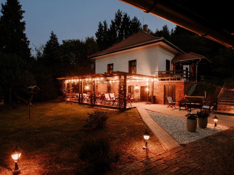 Deluxe Villa image 1