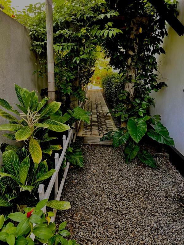 Casa Monkey 28 - image 8