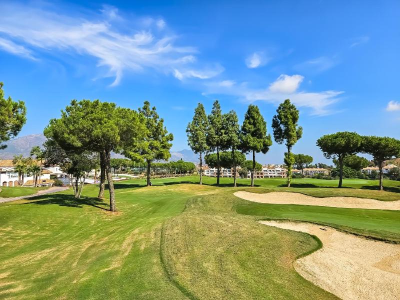Apartment in centre of La Cala 200 metres from beach - image 16
