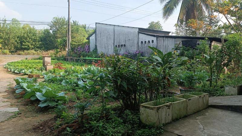 Green house - image 1