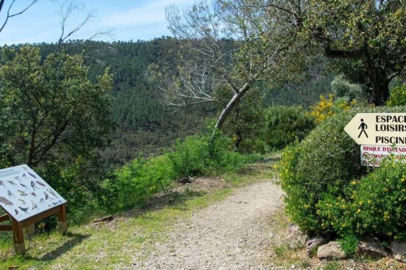 Sublime studio with large terrace and pool - image 5
