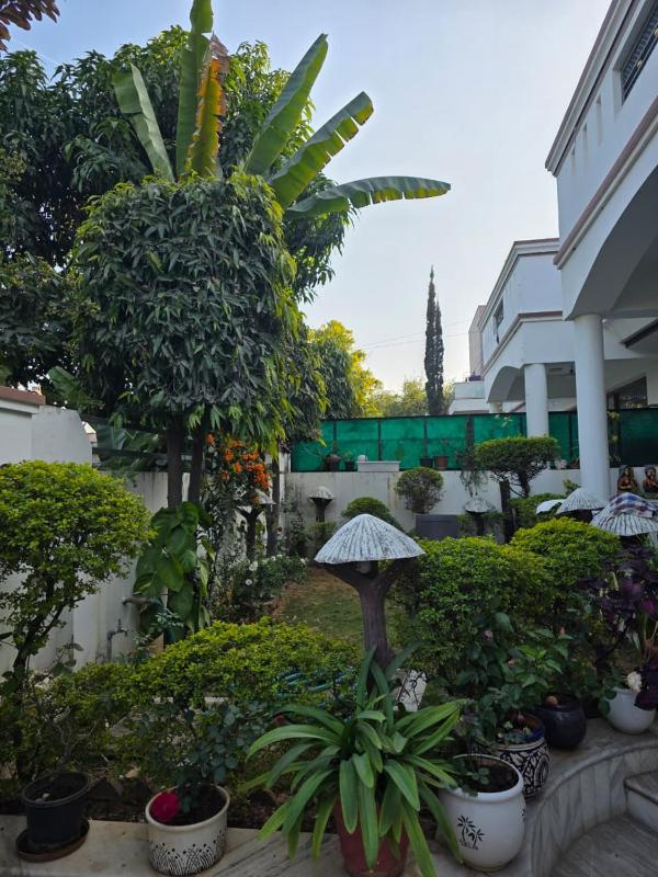 Lush Living Suite - image 10