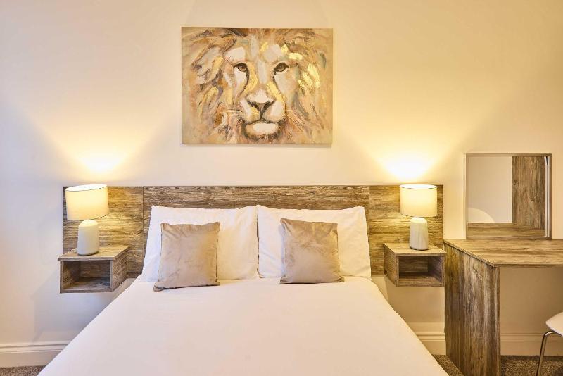 Host & Stay - Illumination Suite - image 2