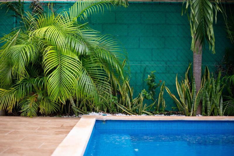 Casa Lula 5-BR Getaway in Riviera Maya - image 32