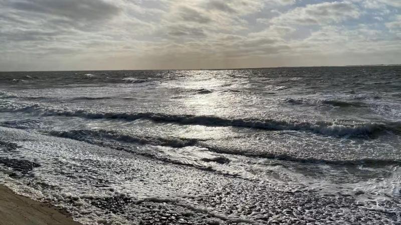 Windboe - image 5