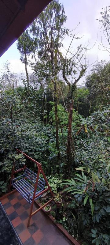 CENTAURUS Coorg HOMESTAY - image 18