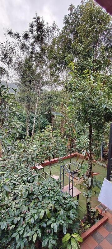 CENTAURUS Coorg HOMESTAY - image 4