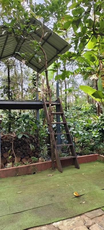CENTAURUS Coorg HOMESTAY - image 5