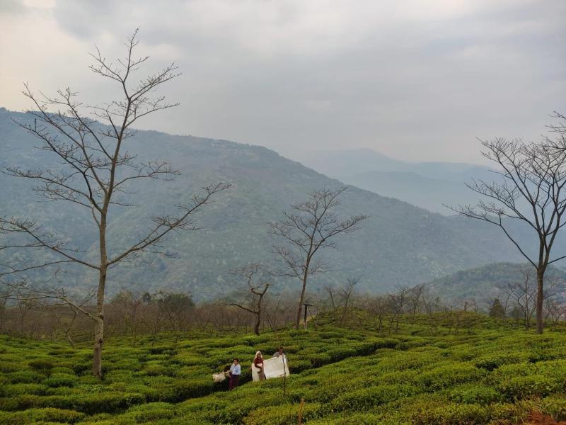 MountainBrew Homestay - image 6