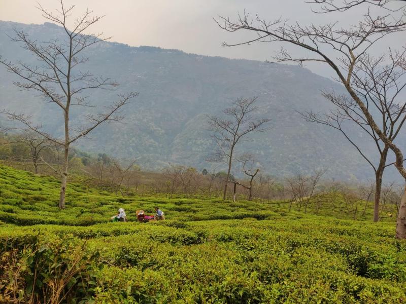 MountainBrew Homestay - image 9