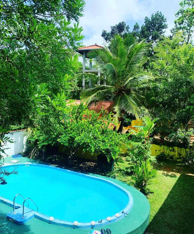 Nelum Vegan House - image 14