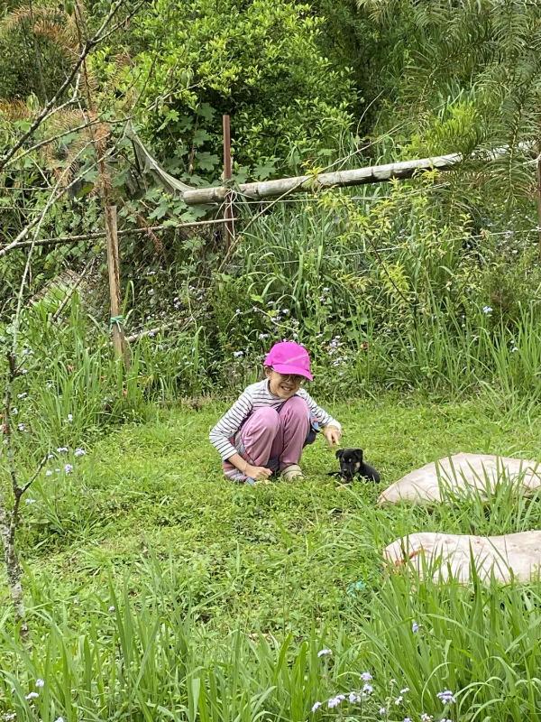 Ta Phin Homestay - image 24