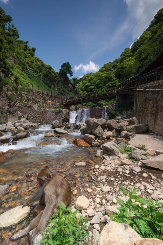 Shibu Onsen Koishiya Ryokan - image 31
