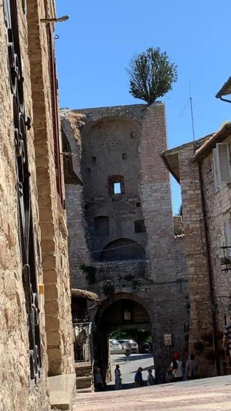 Delizioso Appartamento Francesco House Family - image 7