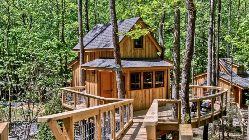 The Hemlock in Treehouse Grove at Norton Creek - image 1