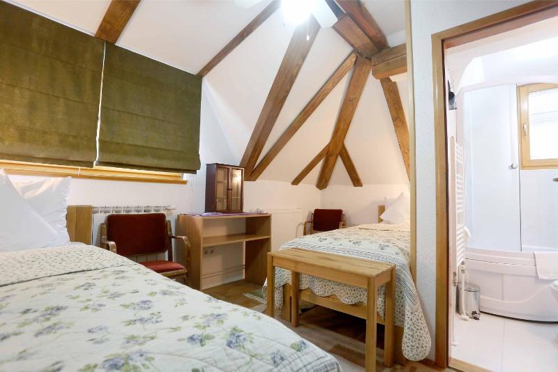 Double or Twin Room image 4