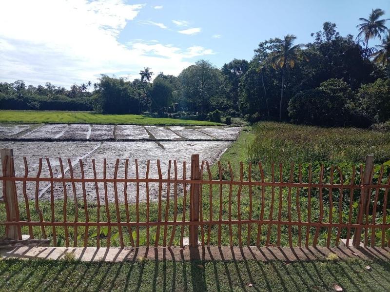 Villa Nimāmi - image 1