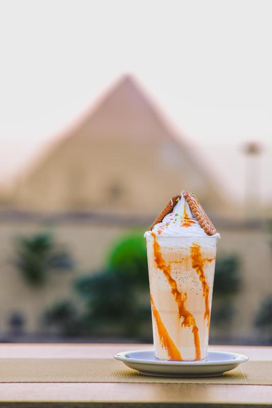 Withaq Pyramids Inn - image 11