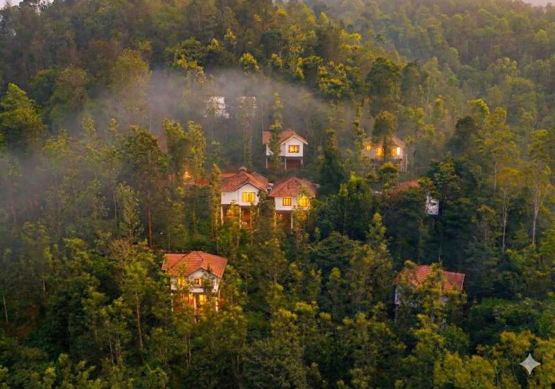 Peter's Coffee Creek Wayanad Pool Resort - image 1