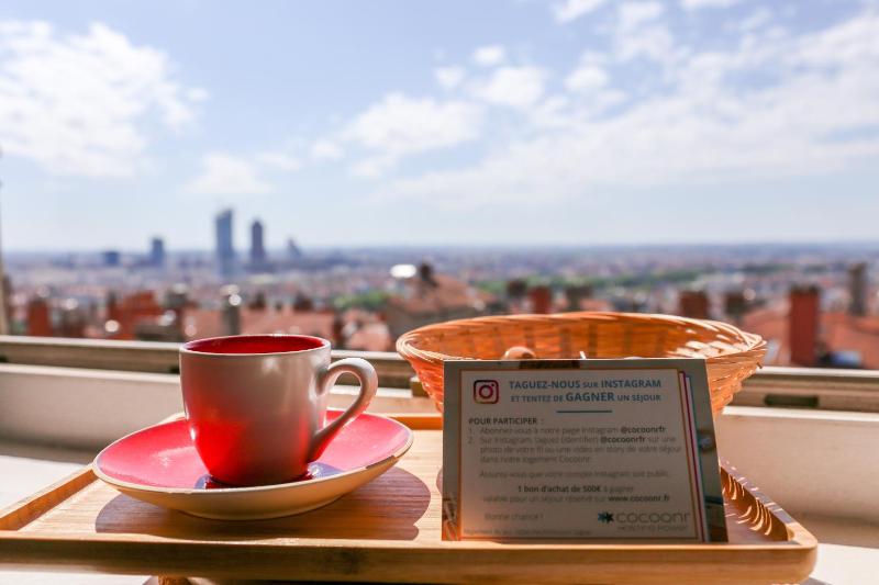 Sur Les Toits Lyonnais - Au cœur de Lyon - image 2
