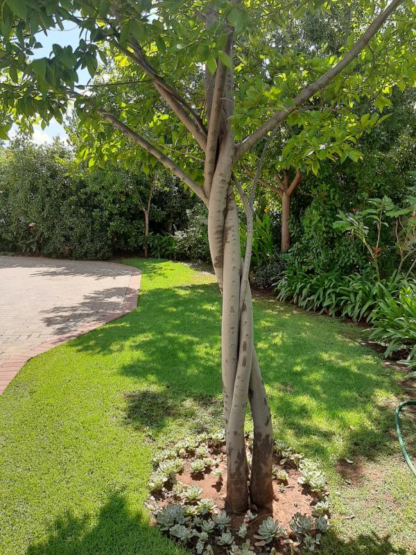 Sleep@161 Benade Drive - image 9