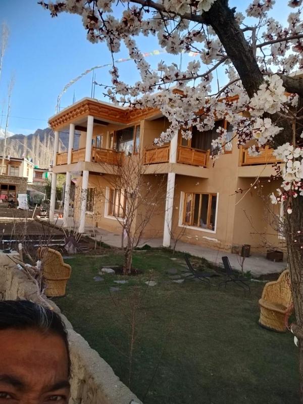 Shumahouse - image 6
