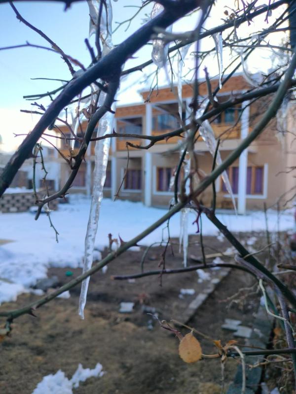 Shumahouse - image 4