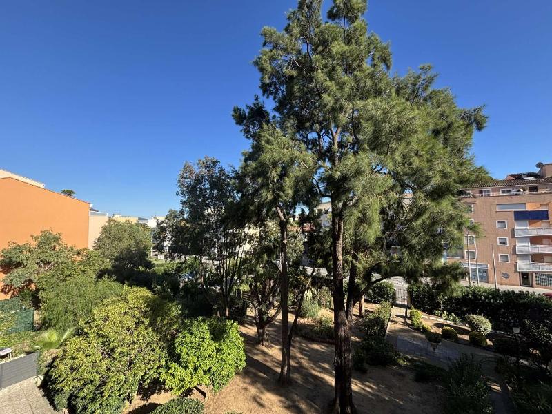 CA900-020 APPARTEMENT 2 PIECES 4 Personnes A CAVALAIRE SUR MER - image 17