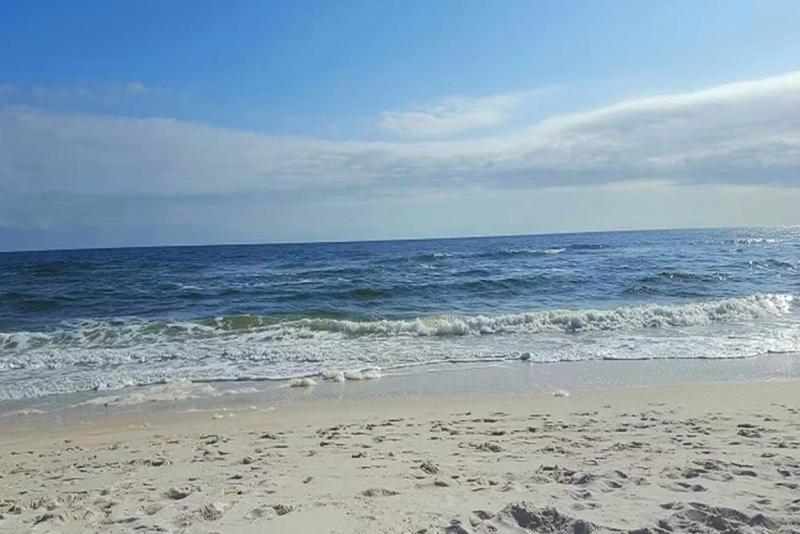 Turners Choice in Perdido Key - image 37