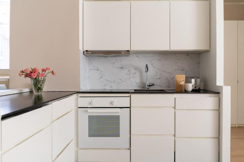 Spacious one-bedroom apartment on a pedestrian street right in the city center - image 8