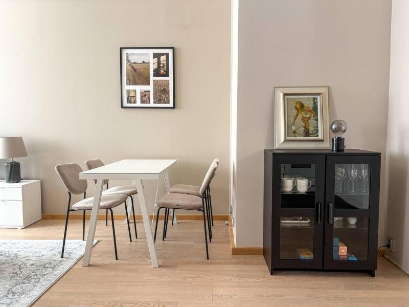 Spacious one-bedroom apartment on a pedestrian street right in the city center - image 6