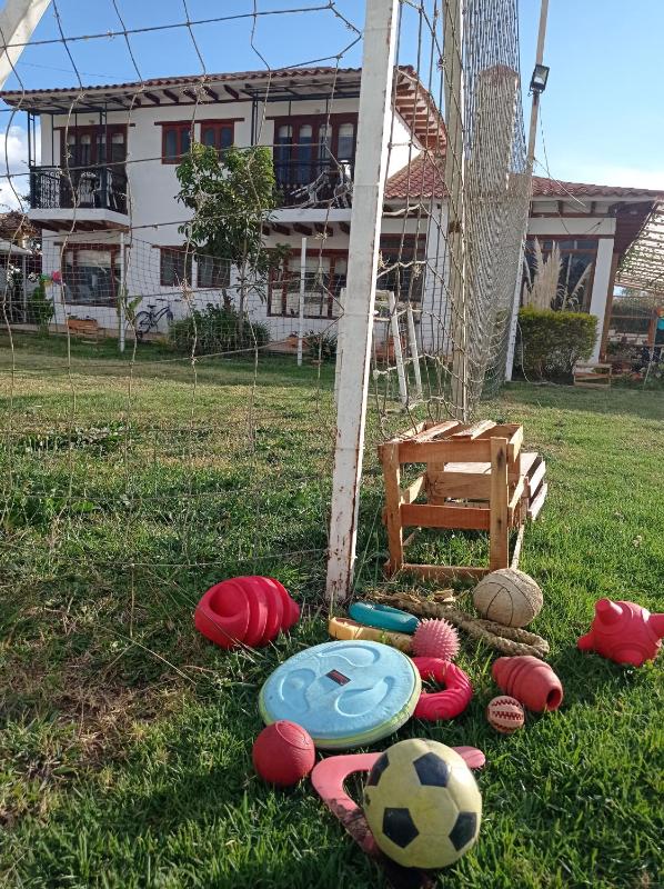 Hotel Casa Campestre Villa Anita - image 48