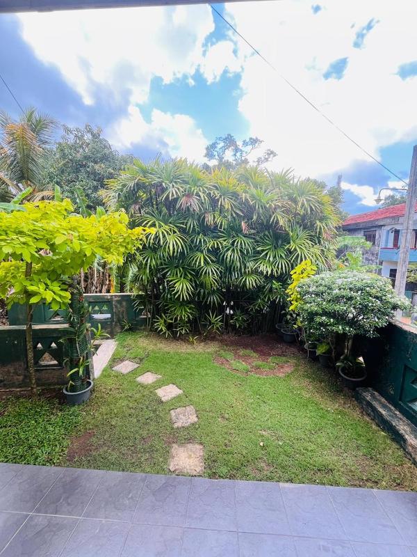 White Nest - image 18