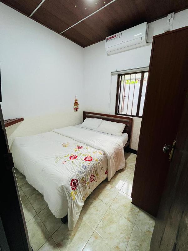 White Nest - image 11