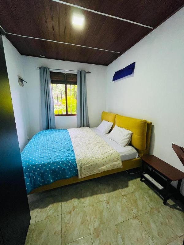White Nest - image 14