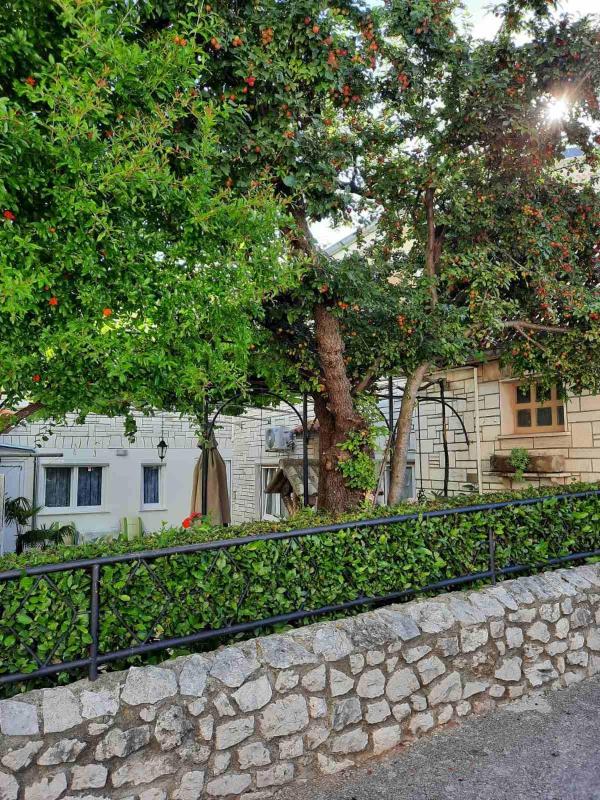 Apartments by the sea Selce Crikvenica - 18893 - image 16