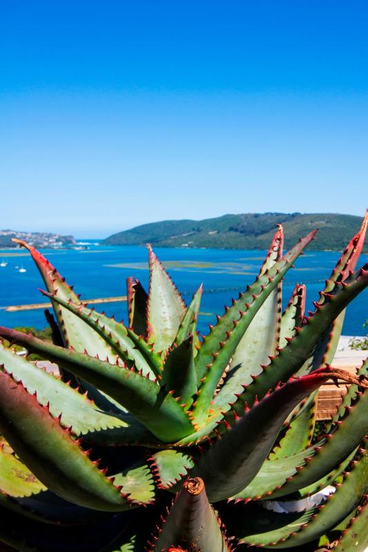 THEBLOEM Guest Suites by Knysna Paradise Collection - image 4