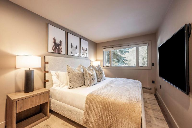New Luxurious 4BR w Central AC in Aspen's Core - image 37