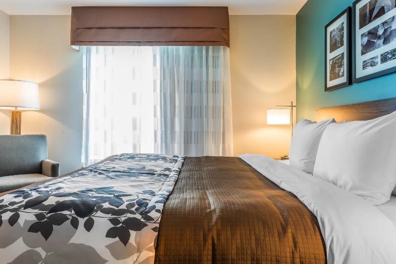 King Suite with Sofa Bed image 1
