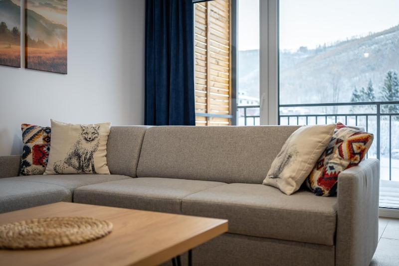 Apartamenty Narciarska Dolina Czyrna - szczyrkapartamenty - image 12